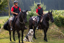 Referenzen Bild 48