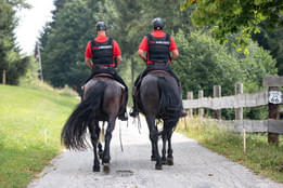 Referenzen Bild 49
