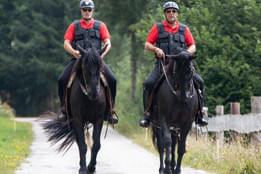 Referenzen Bild 47